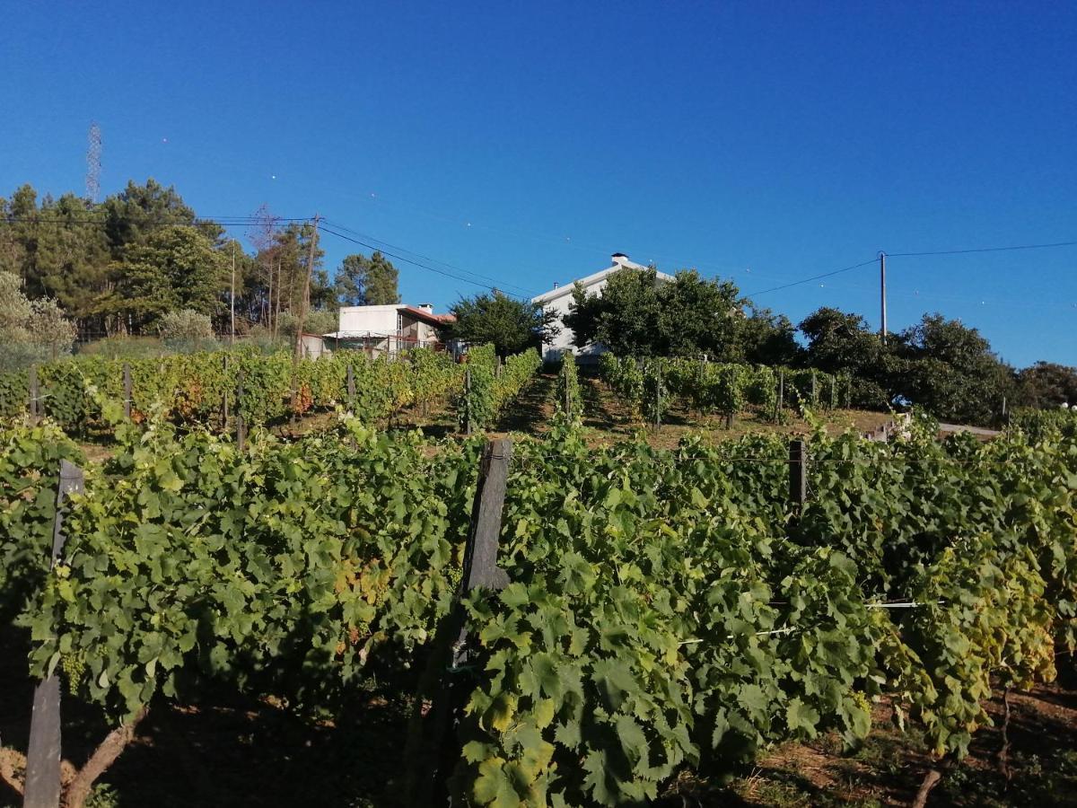 Quinta Lugar da Veiga Winery Guiães Exterior foto